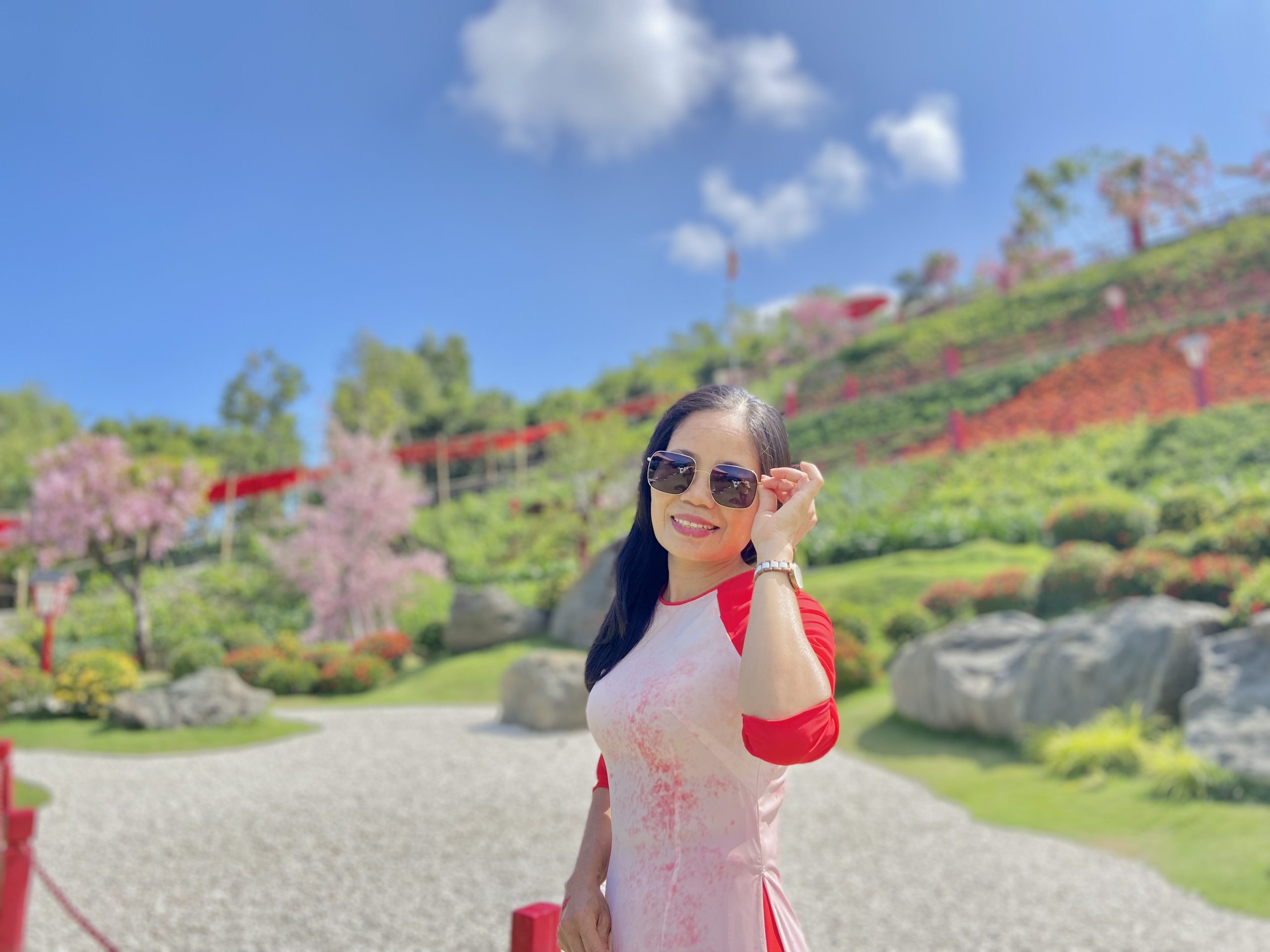 TOUR GÀNH ĐÁ ĐĨA PHÚ YÊN – 1 NGÀY KHÁM PHÁ XỨ SỞ HOA VÀNG TRÊN CỎ XANH