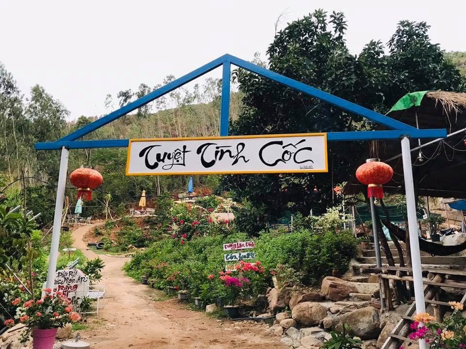 Kinh nghiệm du lịch Tuyệt Tình Cốc Quy Nhơn từ A-Z