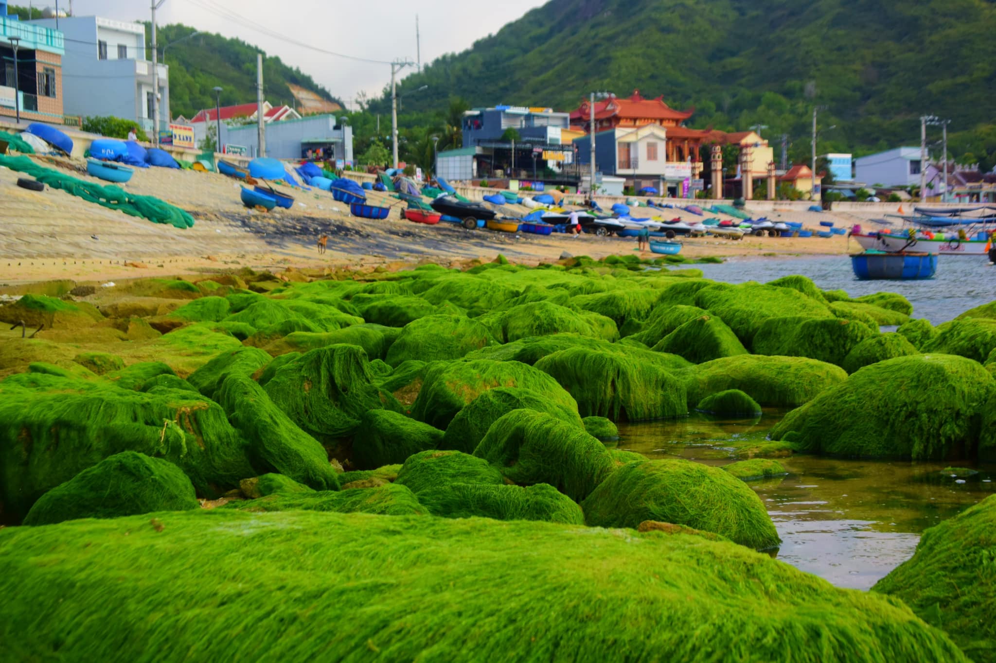 REVIEW TOUR HÒN KHÔ NỬA NGÀY – LỊCH TRÌNH NHANH GỌN